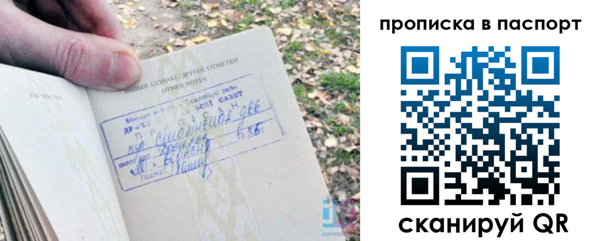 купить прописку в Бодайбо